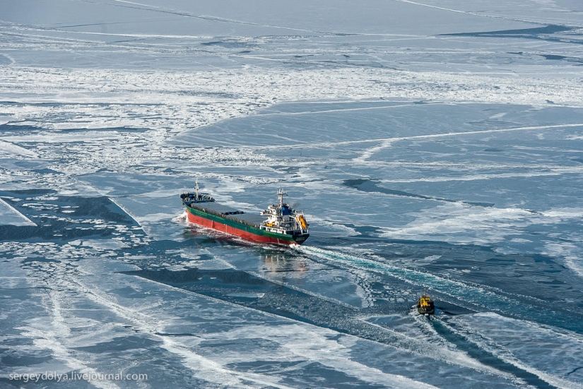 Vladivostok, isla rusa y la costa desde un helicóptero