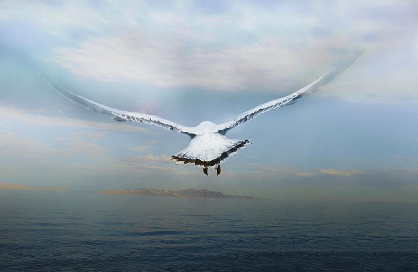 Volando sobre el suelo como un pájaro Volando sobre el suelo como un pájaro