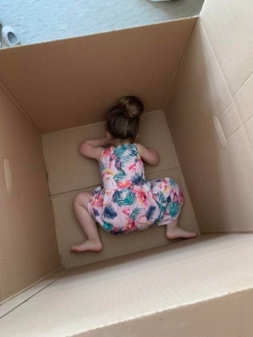 Voy a buscar: 13 adorables niños pequeños jugando al escondite