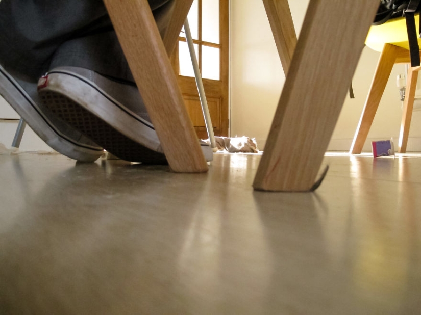 Walking under the table: a father's story about how his 1.5-year-old baby learned to take cool photos Walking under the table: a father's story about how his 1.5-year-old baby learned to take cool photos
