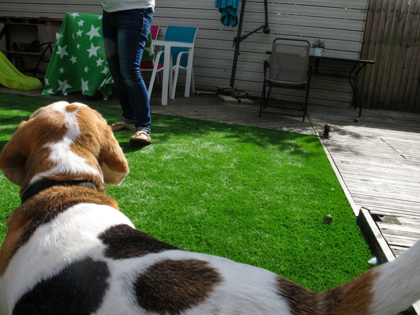 Walking under the table: a father's story about how his 1.5-year-old baby learned to take cool photos Walking under the table: a father's story about how his 1.5-year-old baby learned to take cool photos