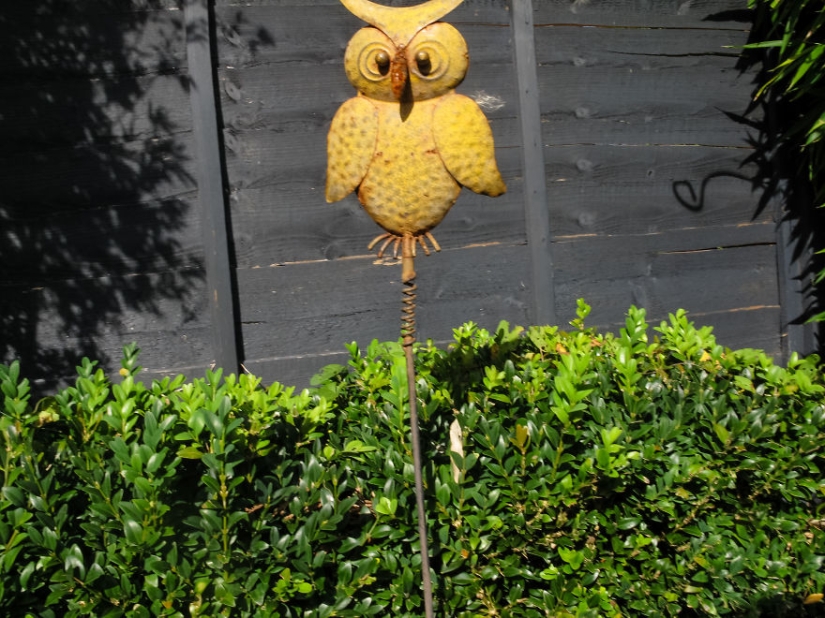 Walking under the table: a father's story about how his 1.5-year-old baby learned to take cool photos Walking under the table: a father's story about how his 1.5-year-old baby learned to take cool photos