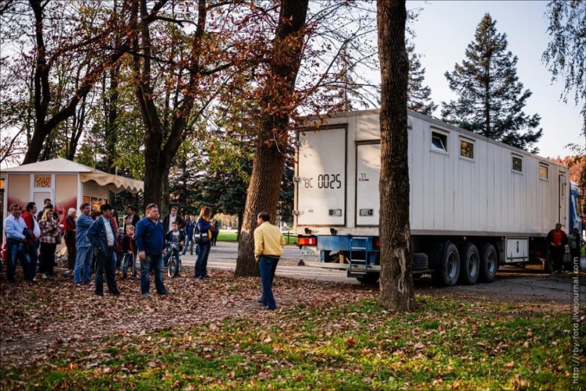 Walking with hippos Walking with hippos