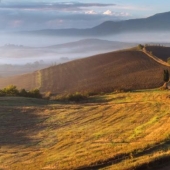 Warm autumn in Tuscany