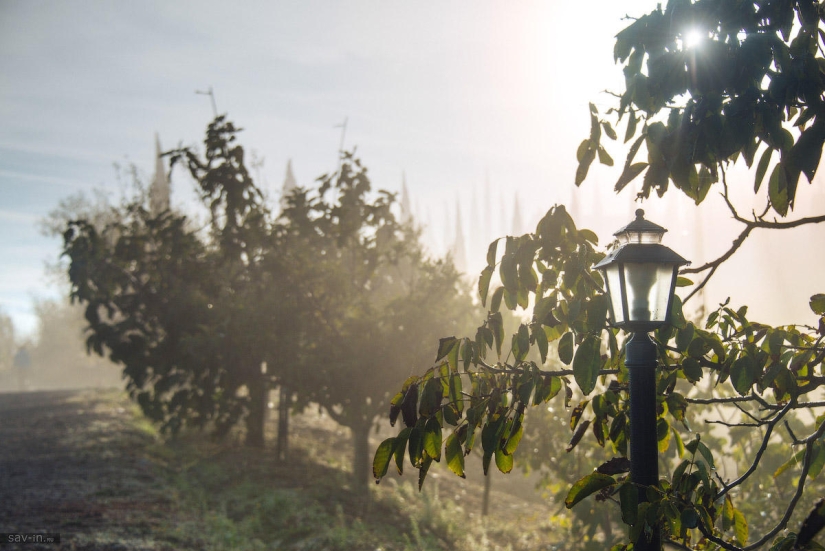 Warm autumn in Tuscany
