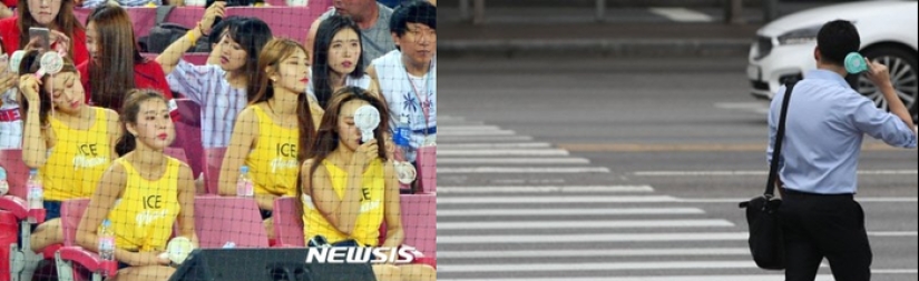 Warm blanket, bidet and mini fans: what everyday appliances are used in South Korea Warm blanket, bidet and mini fans: what everyday appliances are used in South Korea