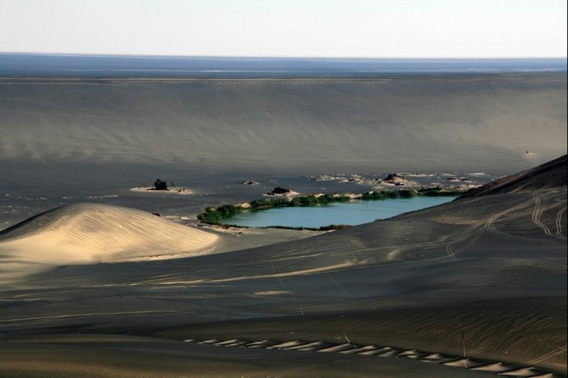 Wau an Namus - an oasis in a volcanic crater Wau an Namus - an oasis in a volcanic crater