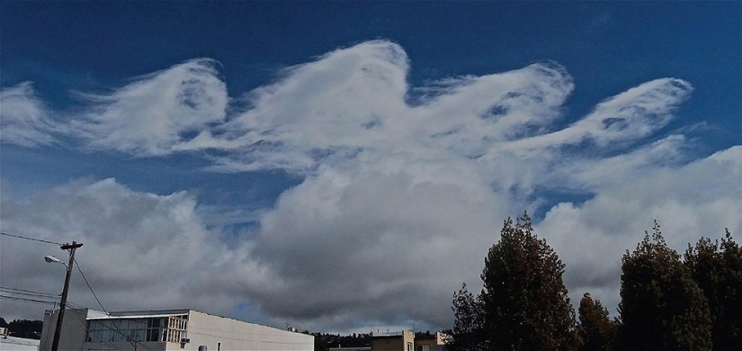 Wave-like Kelvin-Helmholtz clouds Wave-like Kelvin-Helmholtz clouds