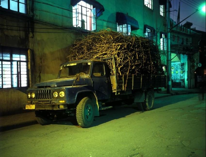 We ourselves are out of place