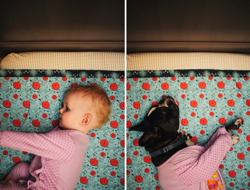 Well, a very sweet couple in a funny family photo project by Jesse Holland