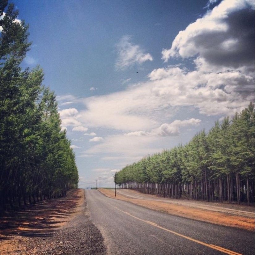 What a picturesque forest farm in Oregon looks like