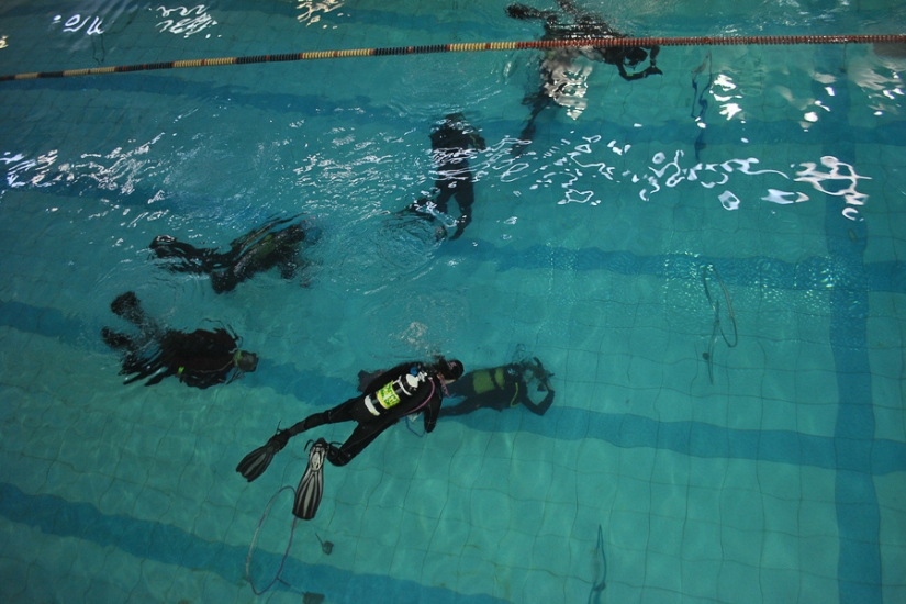 What are the girls ready for on March 8?