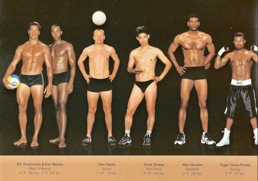 What do athletes' bodies look like? What do athletes' bodies look like?