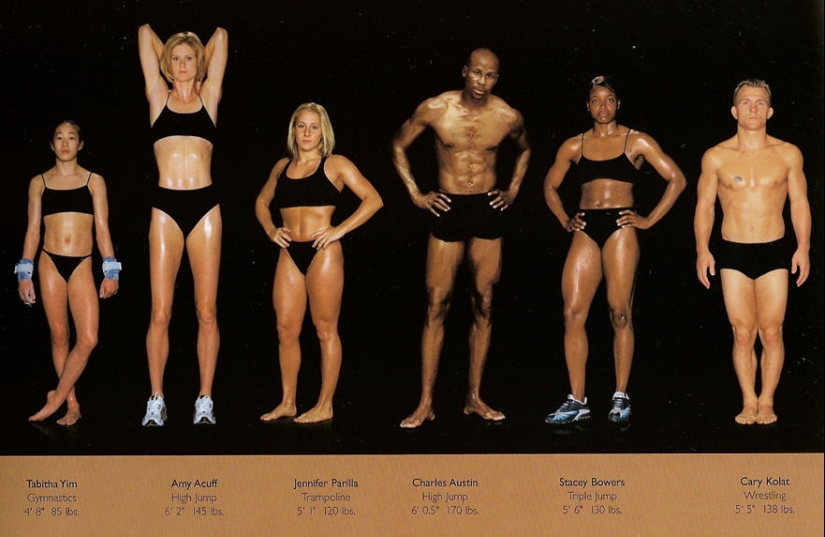 What do athletes' bodies look like? What do athletes' bodies look like?