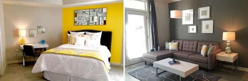 What housing can be rented for a thousand dollars in various US cities? What housing can be rented for a thousand dollars in various US cities?