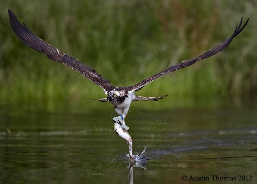 What is death for one is life for another