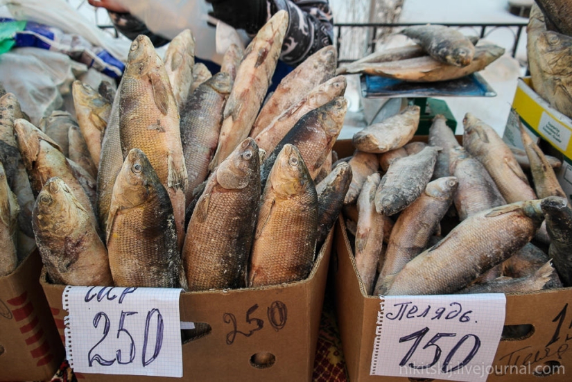 What is real Yakut stroganina