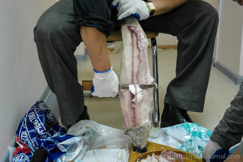 What is real Yakut stroganina