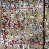 What saves Chinese students from the heat?