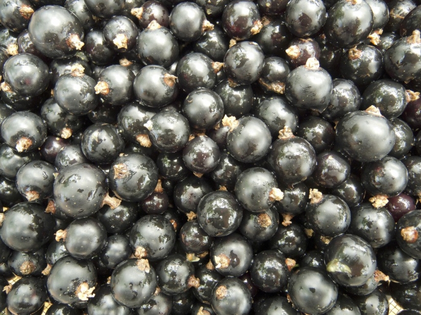 What to eat in the heat: 10 products for the summer