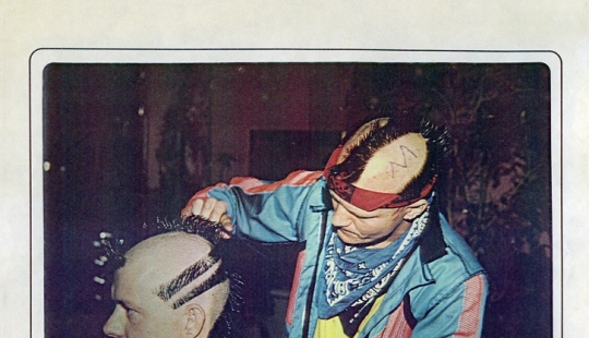 What were punks 30 years ago