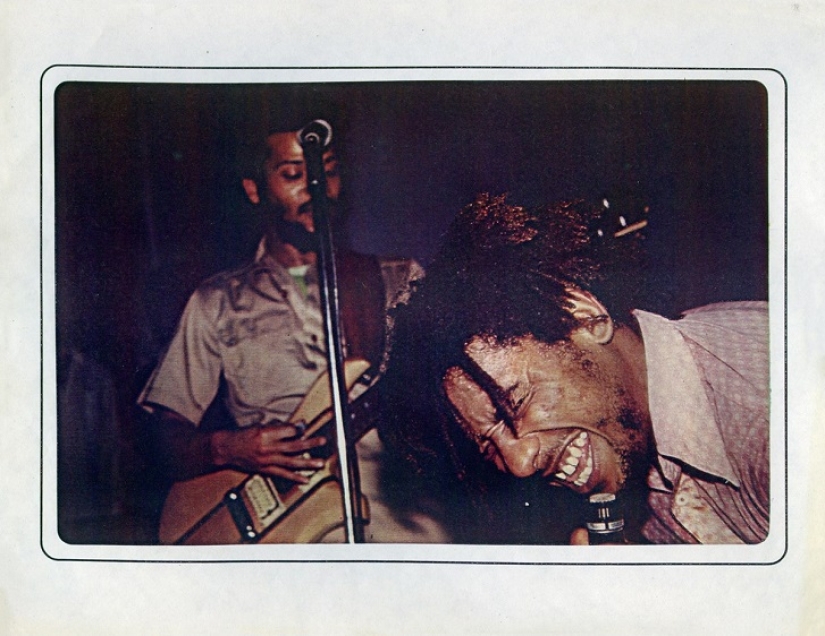 What were punks 30 years ago What were punks 30 years ago