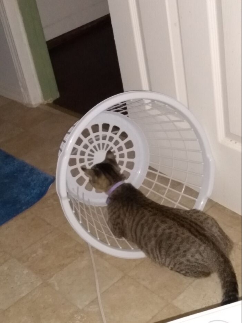 What’s A Weird Little Thing That You’ve Found? What’s A Weird Little Thing That You’ve Found?