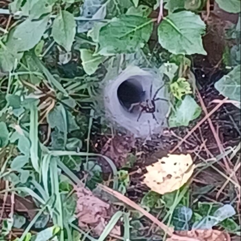 What’s A Weird Little Thing That You’ve Found? What’s A Weird Little Thing That You’ve Found?