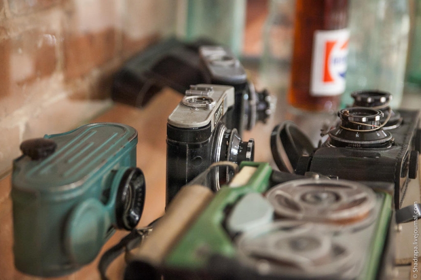 Where the Scoop lives and thrives