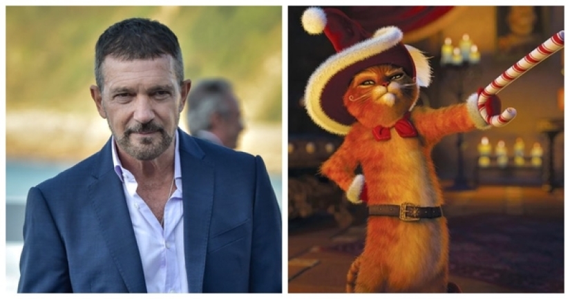 Which of the Hollywood stars voiced New Year's cartoons