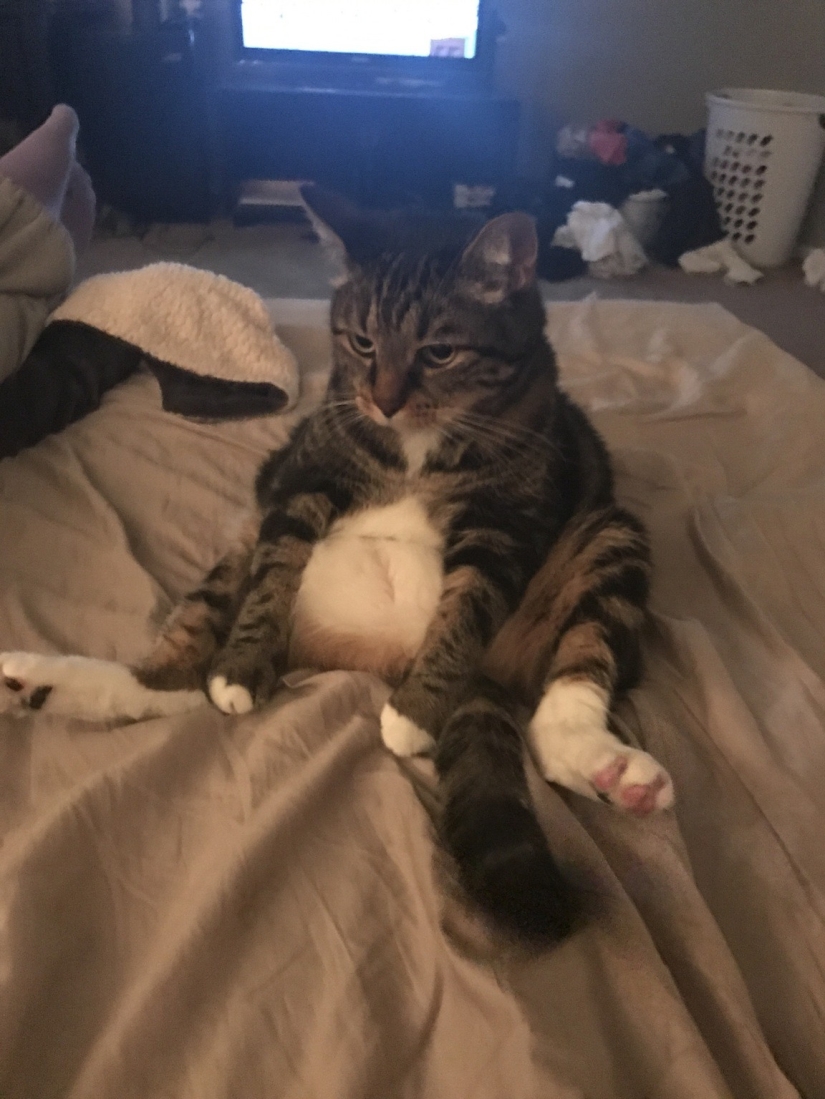 Who is the cutest person in the world? The most touching pets of the year