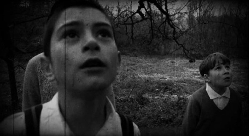 "Who put Bella in the elm tree?": a creepy find in the woods shocked a small town