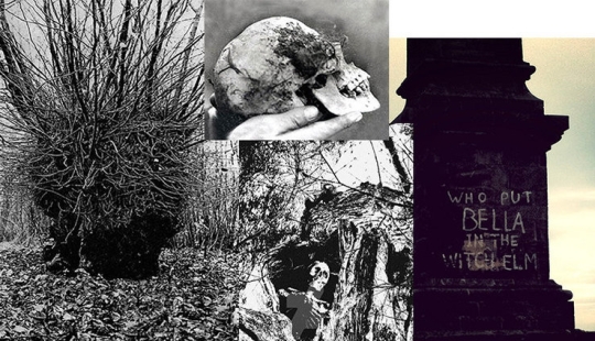 "Who put Bella in the elm tree?": a creepy find in the woods shocked a small town