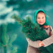 Why buying a live Christmas tree is more useful for the environment than putting an artificial one