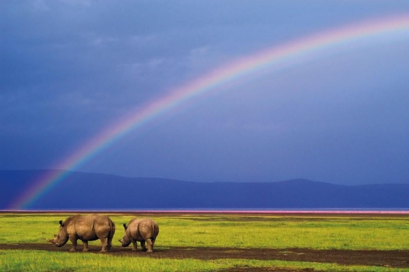 Wild side of Africa Wild side of Africa