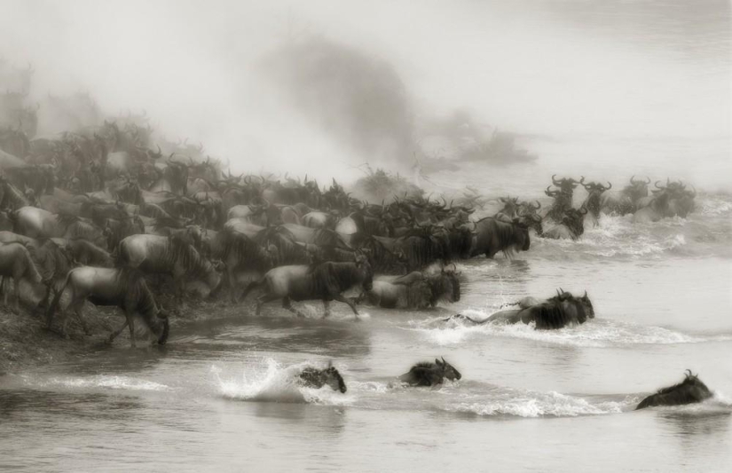 Wild side of Africa Wild side of Africa