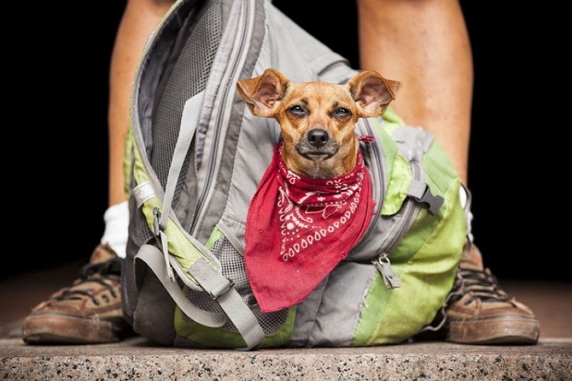 Without a home but with a friend