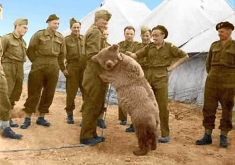 Wojtek: The Story of a Fighting Bear