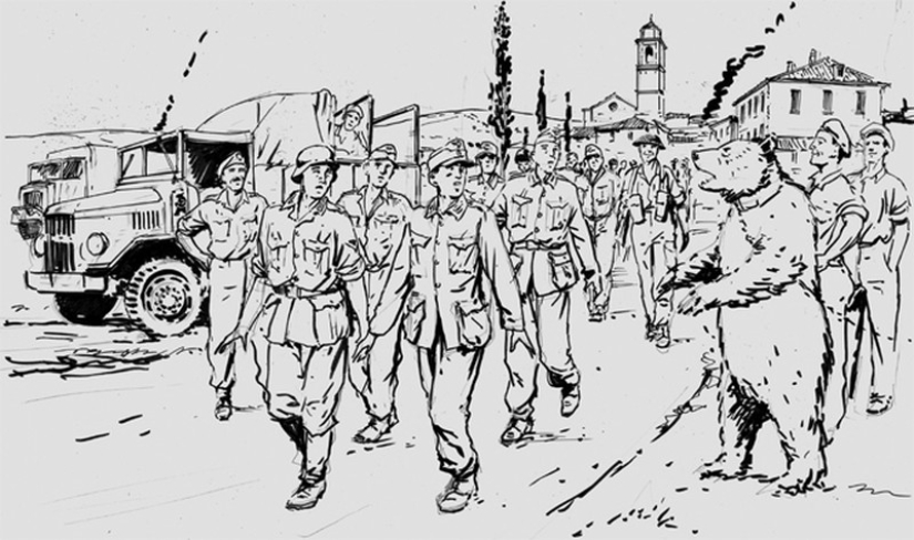 Wojtek: The Story of a Fighting Bear