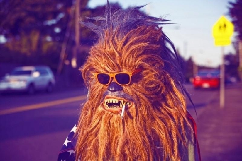 Wookiee monsters from Star Wars in everyday life Wookiee monsters from Star Wars in everyday life