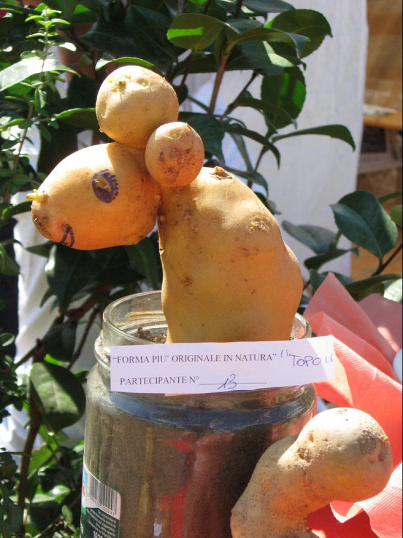 World love for potatoes World love for potatoes