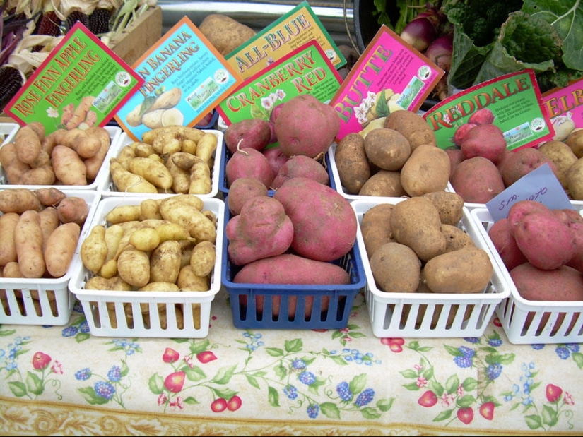 World love for potatoes