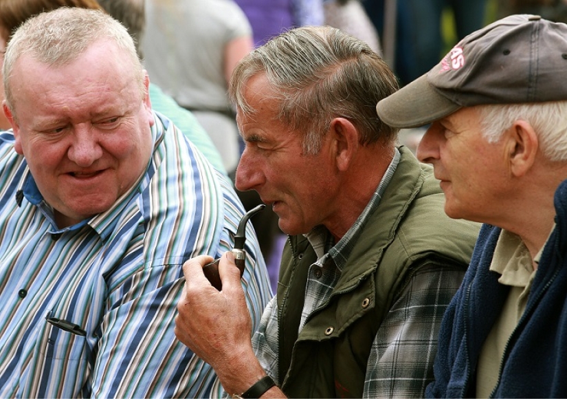 World's first sheep dung spitting competition World's first sheep dung spitting competition