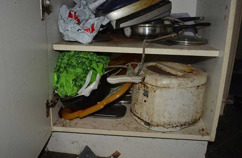 Worse than pigs: landlord got 5 thousand pounds for cleaning after untidy tenants