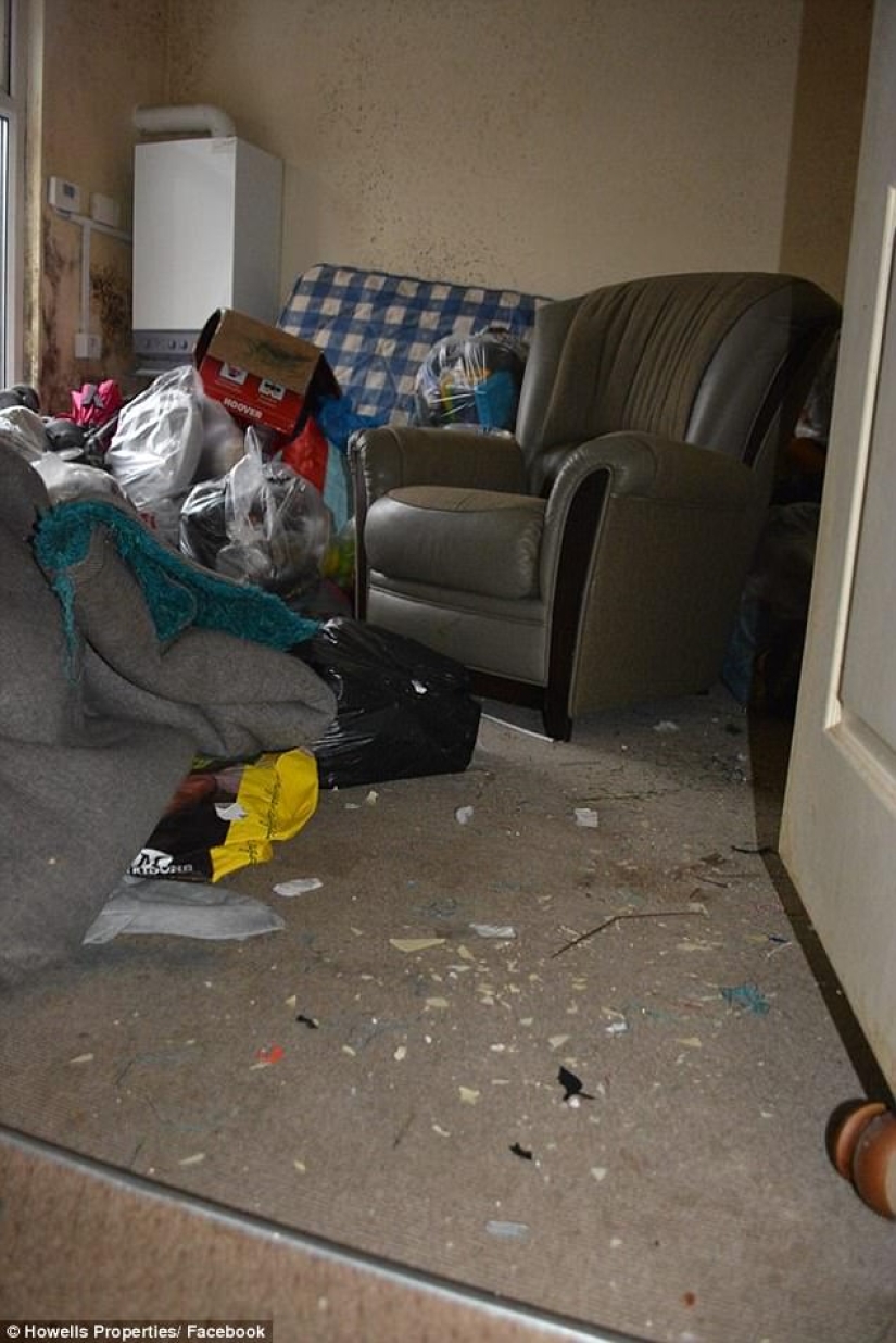 Worse than pigs: landlord got 5 thousand pounds for cleaning after untidy tenants Worse than pigs: landlord got 5 thousand pounds for cleaning after untidy tenants