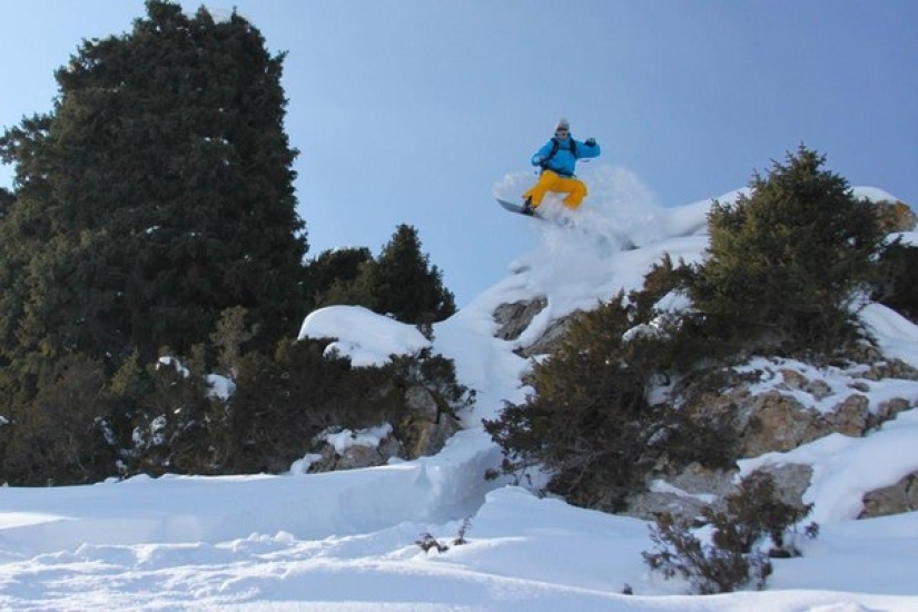 YamogukakPRO: competition results YamogukakPRO: competition results