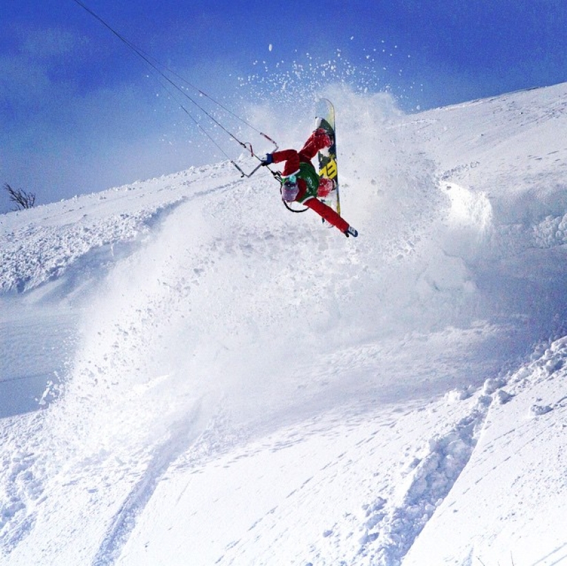 YamogukakPRO: competition results YamogukakPRO: competition results