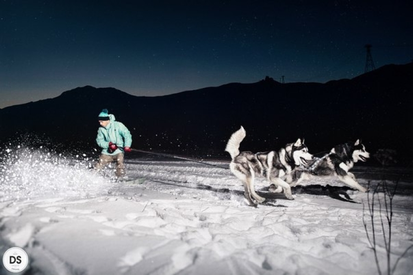 YamogukakPRO: competition results YamogukakPRO: competition results