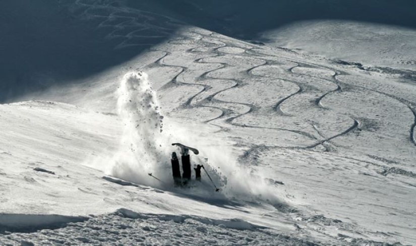 YamogukakPRO: competition results YamogukakPRO: competition results