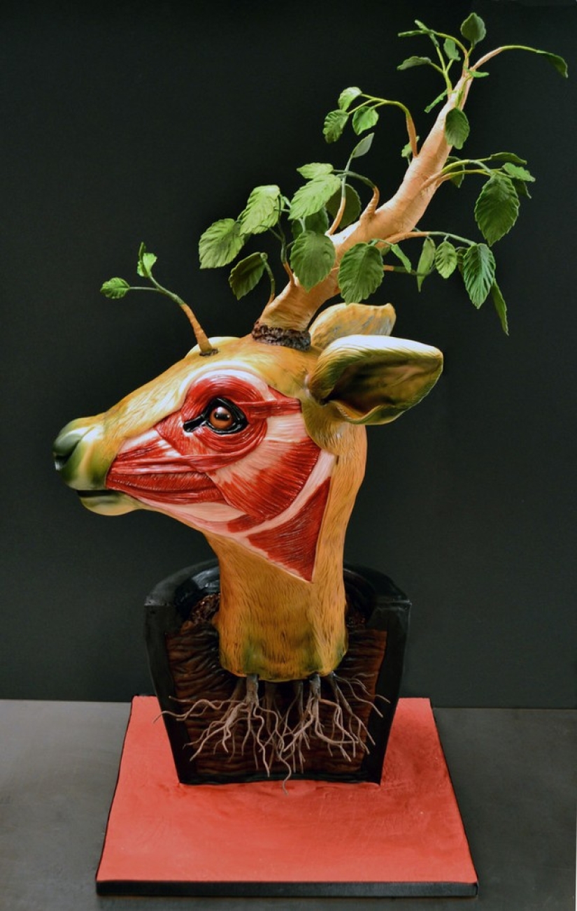 You will be shocked by these cakes!